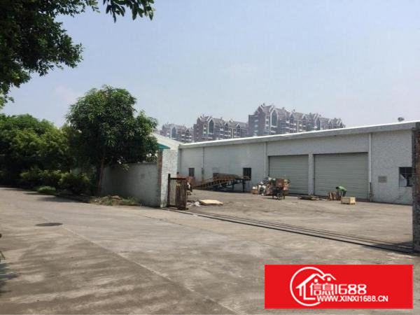 塘厦莲湖单一层小独院2800平方！滴水8米！空地超大