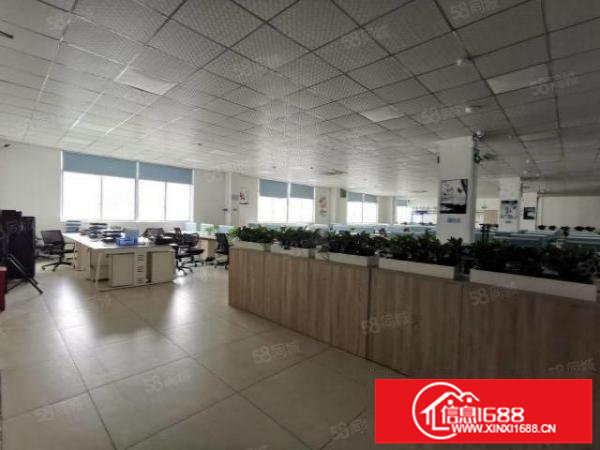 龙华大浪1000平原房东一楼精装修厂房办公室带家具出租可分租