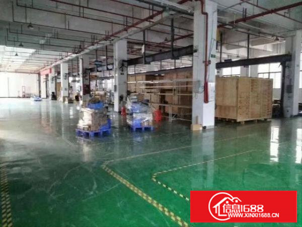 塘厦莲湖社区一楼1000平方带装修厂房出租高5.8米