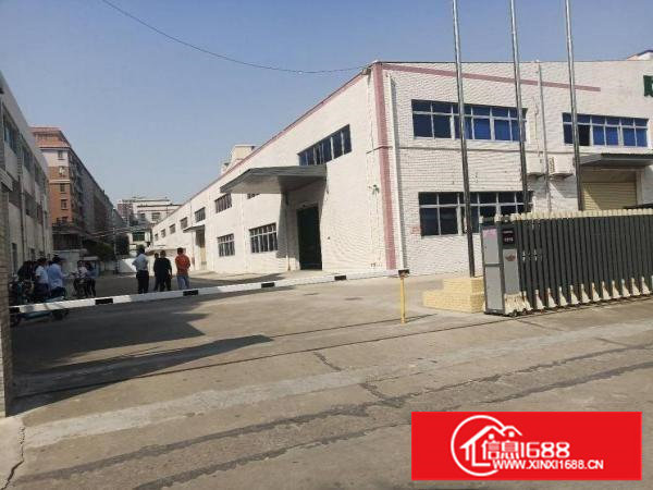 长安镇乌沙原房东独院钢构2760平方低价出租，面积无公摊