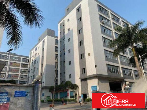 松岗罗田原房东楼上整层1400平带装修出租