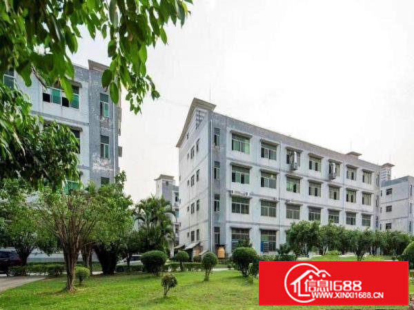 沙井新出楼上3000平方精装修厂房无转让费