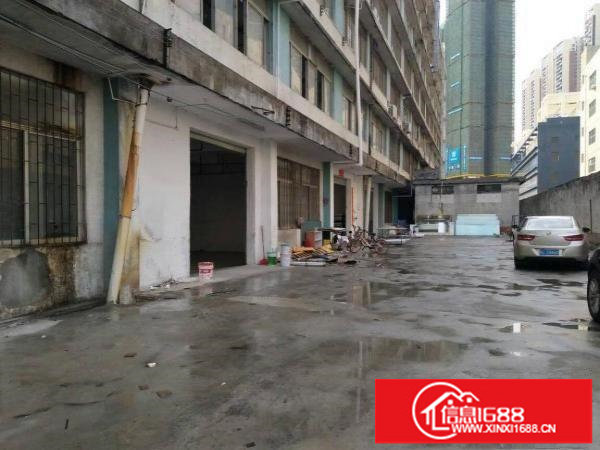 坂田中浩工业区600平一楼标准厂房