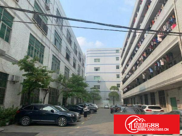 龙岗区横岗228工业区独院厂房200平厂房出租