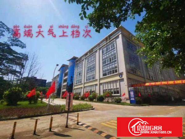 虎门沿江高速旁全新厂房单层2000平米带装修低价招租.