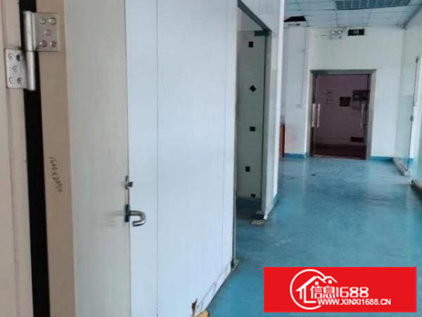 深圳观澜厂房低价出租分租合租