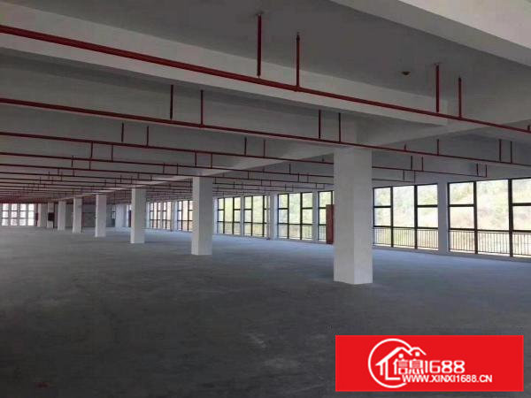 企石原房东全新标准独院厂房出租
