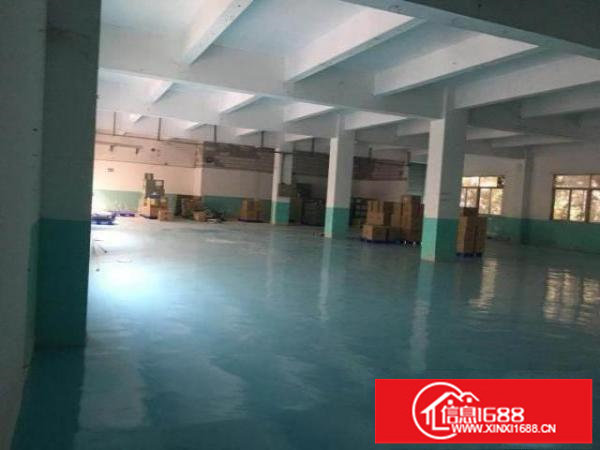 大小厂房写字楼招租大浪商业中心