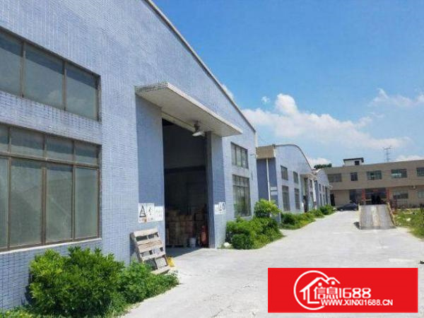 五一村单一层钢构厂房面积3100方空地1000方