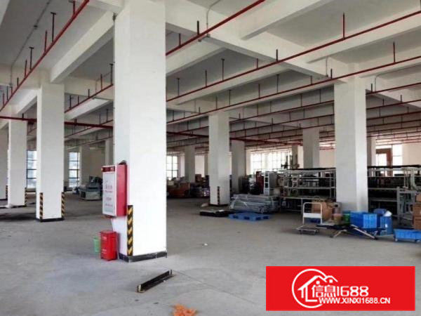 清溪青皇独门独院一楼厂房700平方带水电厂房招租