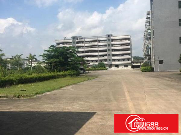 东莞大朗原房东标准园区独院可分租厂房20000平米可分租