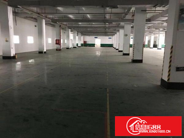 新出独院厂房9100平米火热招租中