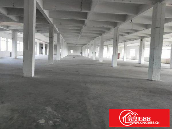 寮步靠近松山湖花园式独门独院12000平出租，空地大环评秒办