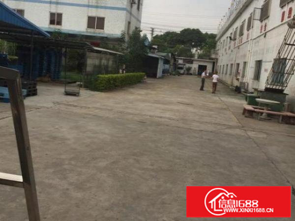 桥头石水口岭厦村厂房800平米