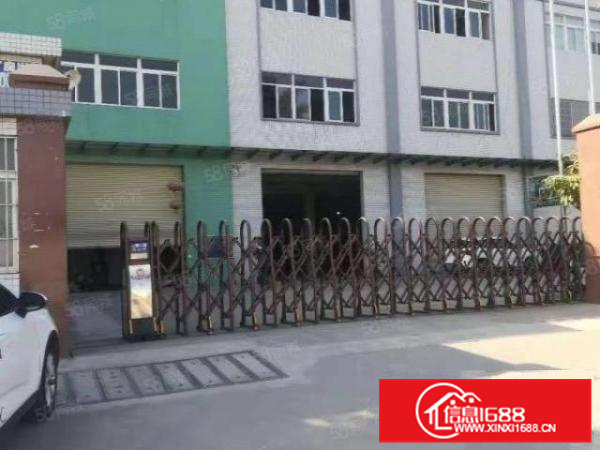 科技园B区红本厂房200平方起租有装修