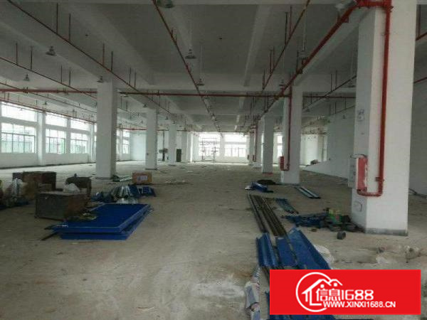惠阳仲恺单一层钢构55000平方米适合污染企业厂房