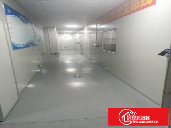 临深靓盘￥无尘车间整层1500平