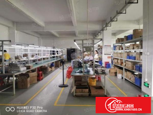 观澜新田主干道旁新出超大空地独门独院4800平厂房出租