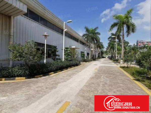 畈田一楼1900平钢构厂房出租