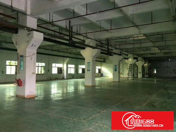 虎门镇北栅东坊路一楼或二楼1180平米厂房出租