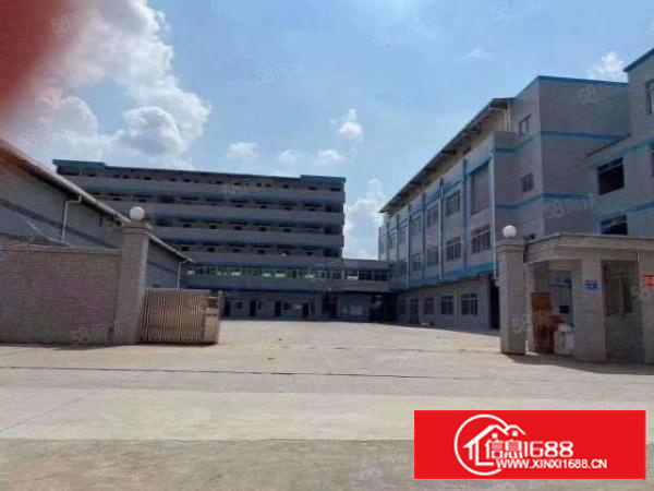 茶山新出独门独院厂房超大空地