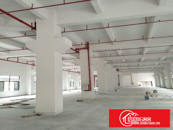 塘厦高速口全新独院厂房7600平方，空地超大可分租