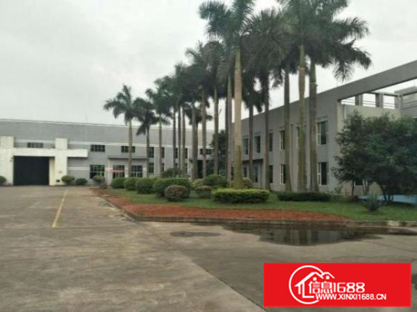 低价出租丹灶下滘1500平钢构厂房双面采光~通风好