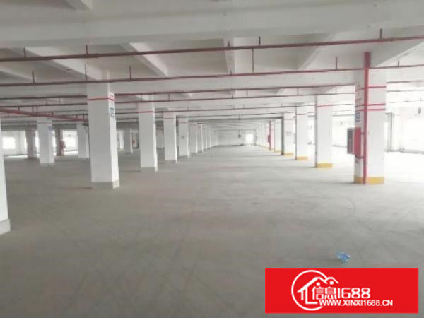 布吉布澜路上独院楼上200平1200平厂房出租