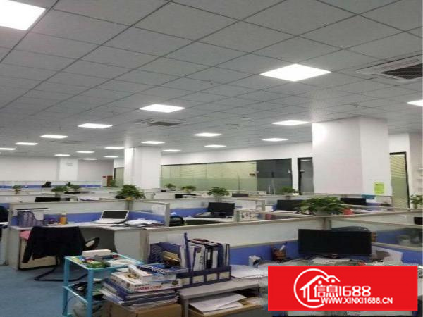 全新豪华办公室出租（带装修，可分租）