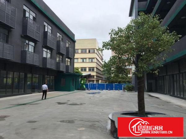 园洲独门独院花园式标准厂房出租6850带精装修可办环评