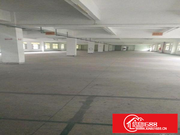 龙岗中心城龙西村委独院厂房招租6000平米可分租