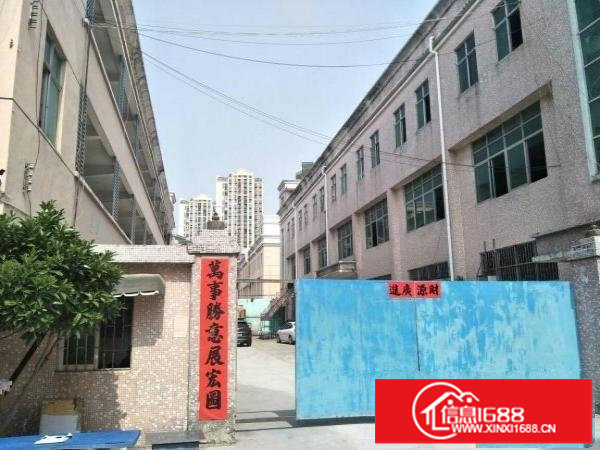 红本独院5600平厂房招租