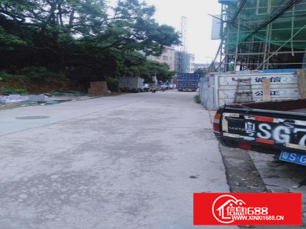 原房东，靠路边，金桔出单一层铁皮房160平低价出租