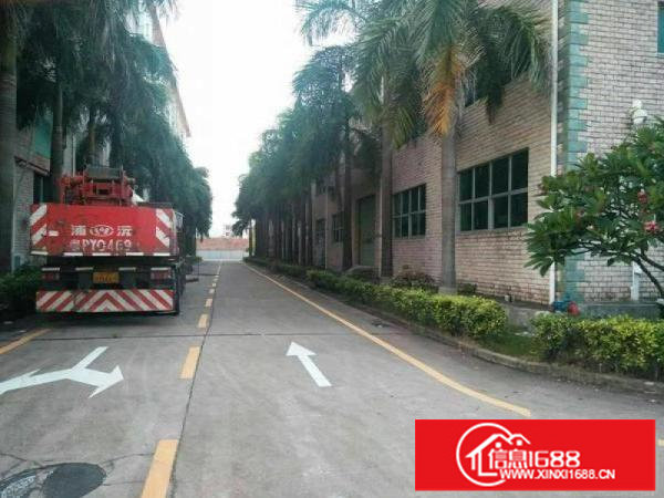 龙岗中心城宝龙2000平滴水8米钢构厂房出租