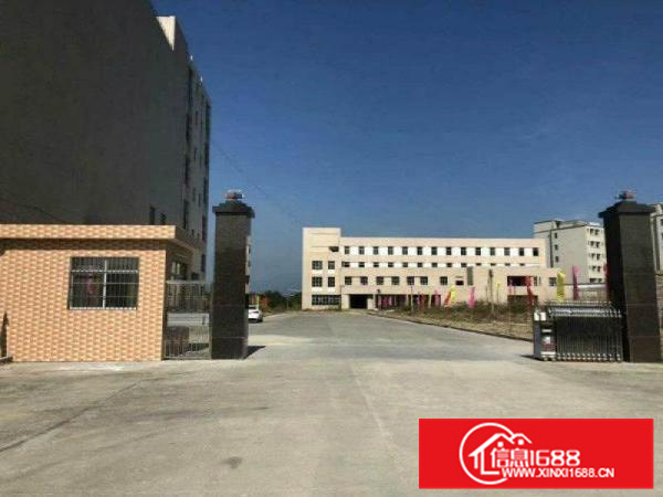 镇隆镇高田村全新红本厂房:厂房一楼层高5米