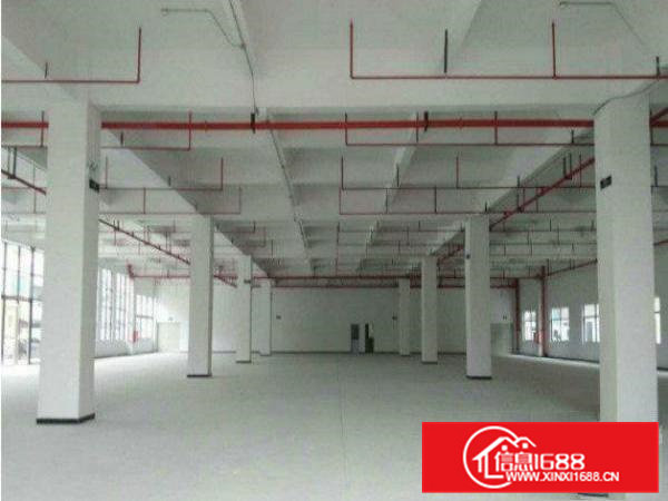 清溪上元工业区标准800方一楼现成水电办公厂房大小分租