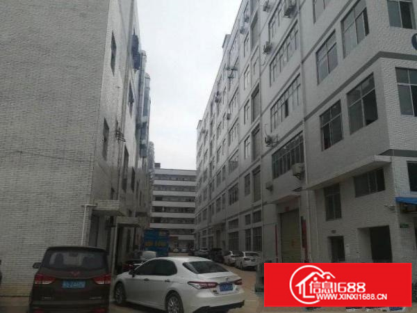 大道三楼1200平，豪华装修，无转让费