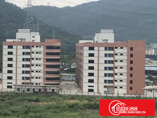 大岭山红本厂房业主直租，大小面积租金12.8