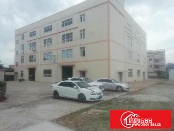 泰美全新地坪漆厂房出租分租