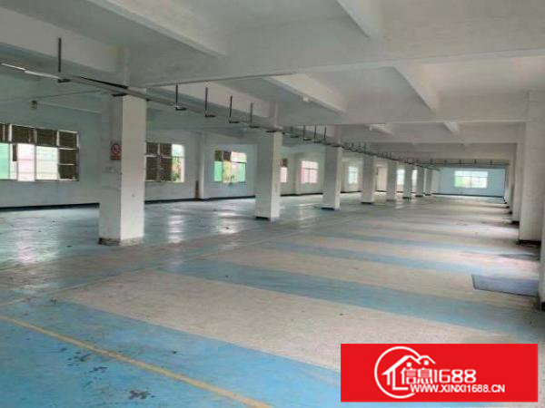 独门独院，一栋厂房加一栋宿舍，小清新