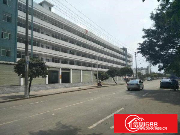 清溪上元工业园区厂房标准二楼2600平方出租可分租