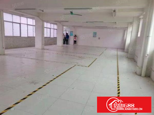 原房东，沙湖450平实际面积，标准厂房带三间办公室，双面采光