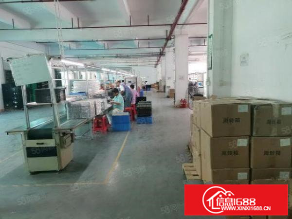 茶山镇新出原房东2600平经典小独院好招工