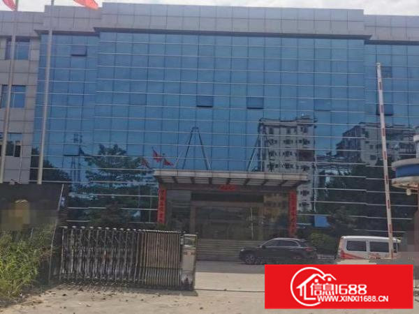 虎门镇新出9米高一楼标准厂房2300平方，沿江高速