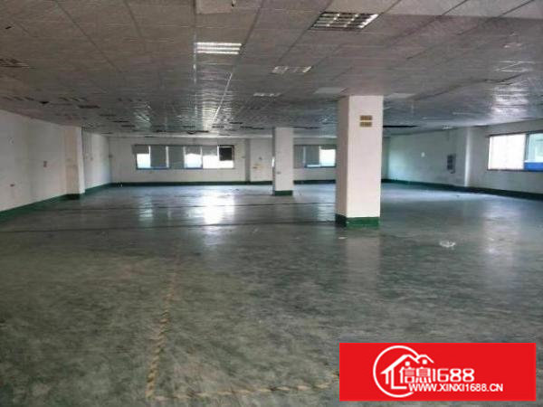 横岗山塘工业区原房东4-5楼各1400平方16元