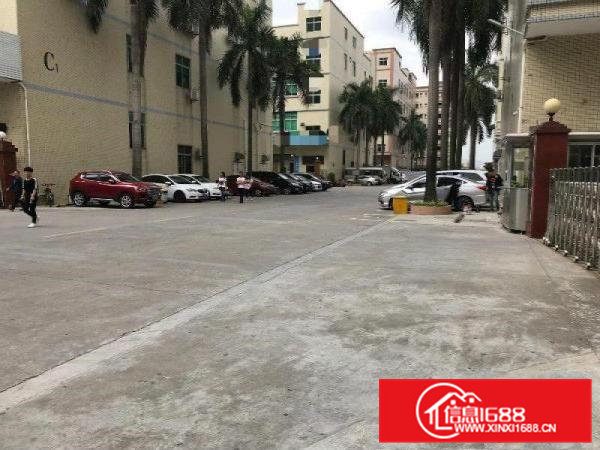 清溪三中清凤路边，出租一楼2000平厂房，带牛角