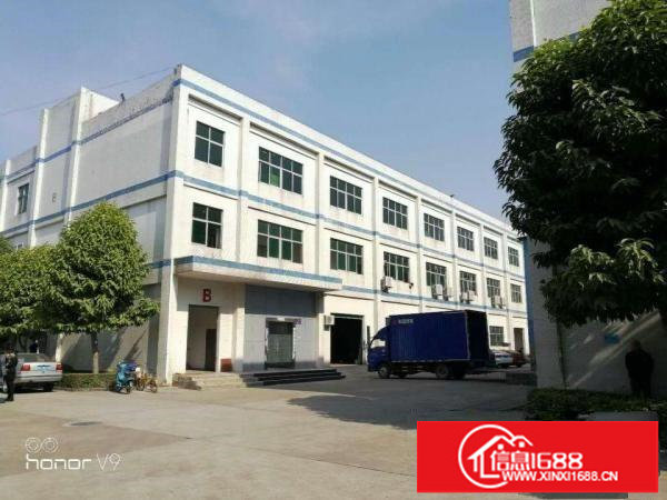 坪山碧岭金碧路500平方送装修厂房14元招租