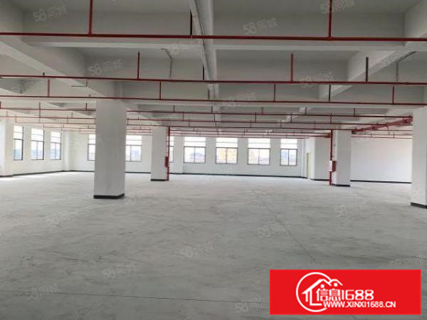 松山湖科创园带5吨货梯全新独院厂房房东直租