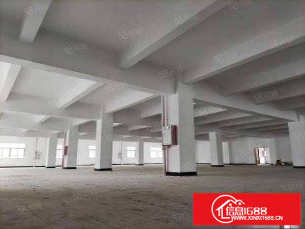 常平国际创新港厂房1661平业主直租交通便利园区服务齐全