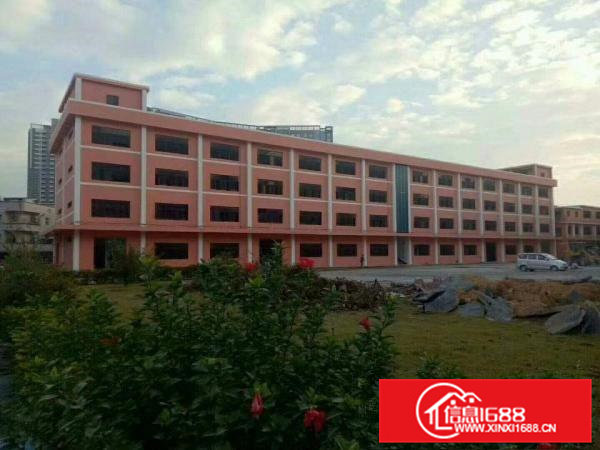 常平镇新出原房东标准单层厂房